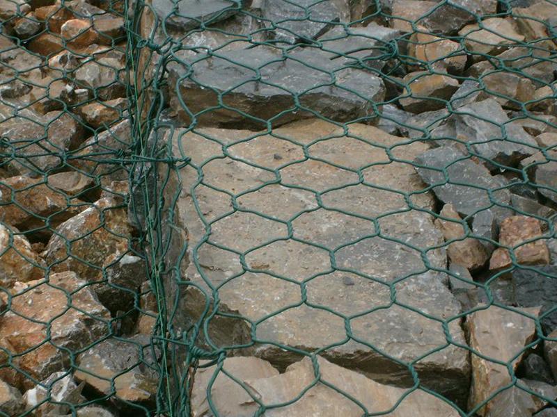 ���e�W(w��ng)