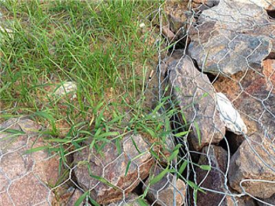 ��÷ˮ��(k��)��(y��ng)�����؏S(ch��ng)���U�zʯ�\